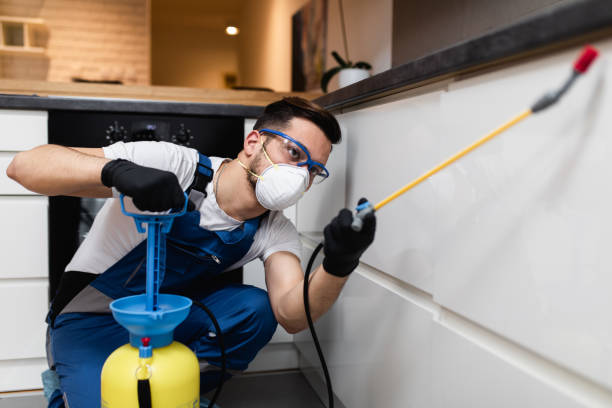 Best Ant Control Services  in Fredonia, AZ