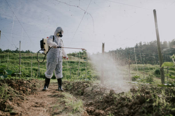 Best Best Pest Control Companies  in Fredonia, AZ