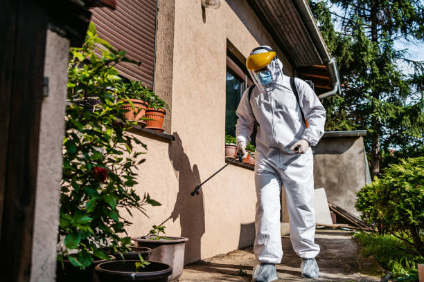 Professional Pest Control in Fredonia, AZ