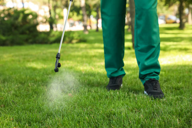 Best Exterminator Services  in Fredonia, AZ